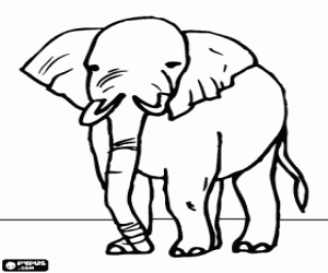 Oude olifant kleurplaat