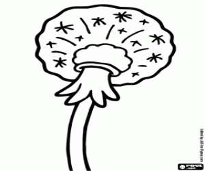 Paardebloem zaden kleurplaat