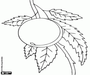 Een perzik op de boom kleurplaat