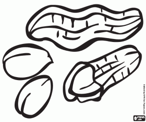 Pinda's in de dop en gepelde pinda 's kleurplaat