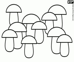 Een plantage van paddestoelen kleurplaat