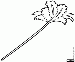 Een plumeau om te spelen met de kat kleurplaat