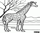 Giraffe in het landschap