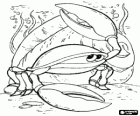 Krab op de zeebodem