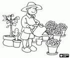 Gardener tending planten, water geven met de gieter