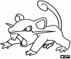 Rattata - Pokemon normale type, snelle aanvallende rat