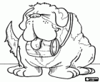 St. Bernard, een reddings hond met de brandy vat rond zijn nek