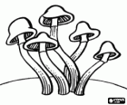 Groep van paddestoelen met een lange stengel en kleine klokvormige cap