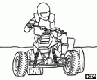 ATV Quad met de piloot beschermd worden door de regelgevende helm