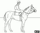 Jockey rijden op zijn paard voor de race te starten