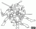 De vier Ninja Turtles: Leonardo, Michelangelo, Donatello en Raphael. Teenage Mutant Ninja Turtles of TMNT