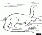 Apatosaurus of Brontosaurus het scannen van de horizon met zijn lange nek