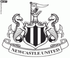 Embleem van Newcastle United FC, Engeland footballteam