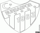 Logo van Bursaspor, Turkse voetbalclub