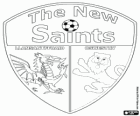 Logo van The New Saints FC, Welsh voetbalclub
