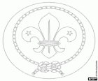 Embleem van de World Organization of the Scout Movement. Logo van het WOSM. Fleur-de-lis omringd met een stuk touw