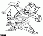 Tom en Jerry in de sneeuw met skis