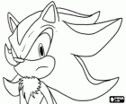 Shadow is een egel als Sonic