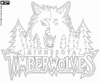 Minnesota Timberwolves logo, NBA-team. Northwest Division, Western Conference