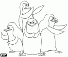 De Pinguins van Madagascar