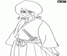 Rukia Kuchiki is een Shinigami met de fysieke verschijning van een tienermeisje