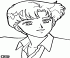 De aantrekkelijke Darien of Mamoru Chiba, een van de protagonisten van Sailor Moon