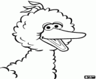 Big Bird, het karakter van Sesamstraat