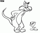 Sylvester en Tweety 