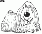 Dougal, de hond met lang haar von The Magic Roundabout, Minimolen