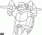Donatello, het wapen van deze ninja schildpadden is de Japanse lange stok Bo