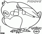 Pidove, normal en vliegtype pokémon. Pidove evolueert Tranquill en Unfezant. Mamepato