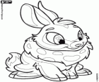 Cybunny, de mooie konijntje van Neopets