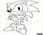 Sonic The Hedgehog puzzel