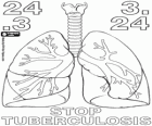 Wereld tuberculose dag, 24 maart. De longen