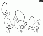 Drie eendjes spelen met drie eieren