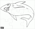 Haai puzzel. Vissen puzzel