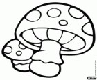 Giftige paddestoelen. Paddestoelen van de kabouters