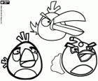 Drie van de vogels uit Angry Birds