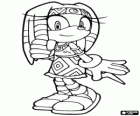 Tikal, de dochter van Chef Pachacamac van de stam Knuckles