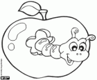 Worm in een appel