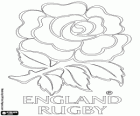 Logo van de nationale rugbyteam van Engeland. Embleem, de rode roos