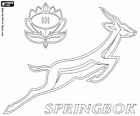 Logo van de Zuid-Afrika nationale rugbyteam, de springboks. Embleem, de springbok en de protea