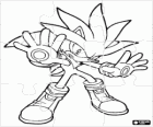 Silver the Hedgehog puzzel, egel dat afkomstig is van de toekomst