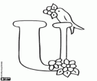 Letter U met een vogel en sommige kleine bloemen