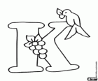 Letter K met een vogeltje en een raceme van fruit