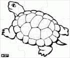 Schildpad puzzel. Puzzel van reptielen