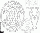 FC Bayern München, kampioen van de UEFA Champions League 2012–13