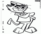 Top Cat, de leider van de groep zwerfkatten