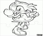 Amy Rose, de vriendin van Sonic puzzel