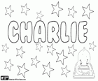 Charlie, naam afgeleid van Charles. Meestal een bijnaam voor Charles
